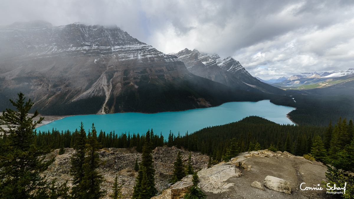 Peyto Lake